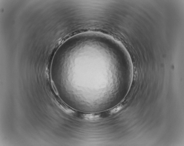 X0000060580568200511241344