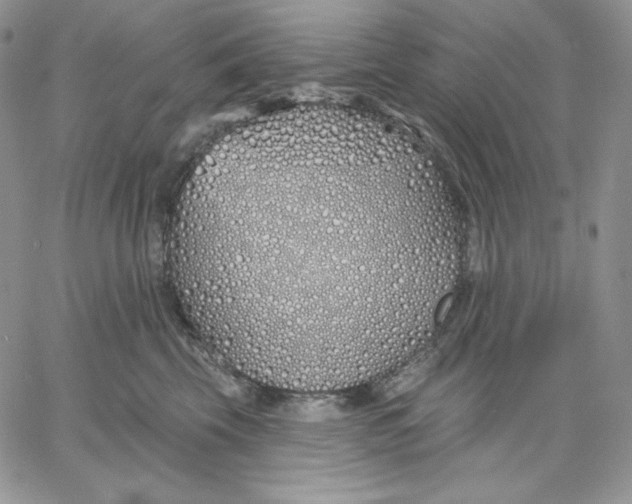 X0000060580569200511241344