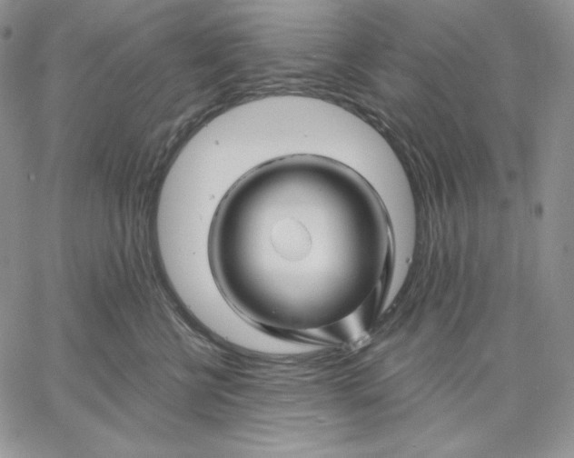 X0000060580570200511241344