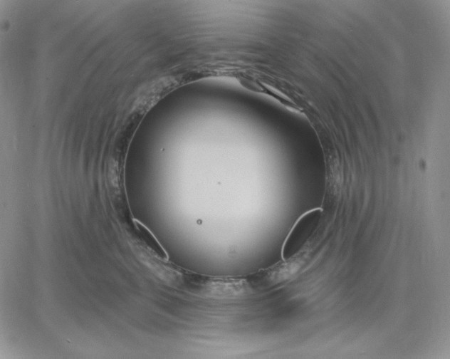 X0000060580571200511241344