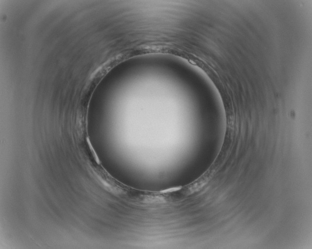 X0000060580572200511241344