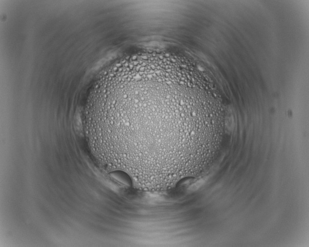 X0000060580573200511241344