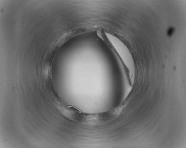 X0000060580574200511241344