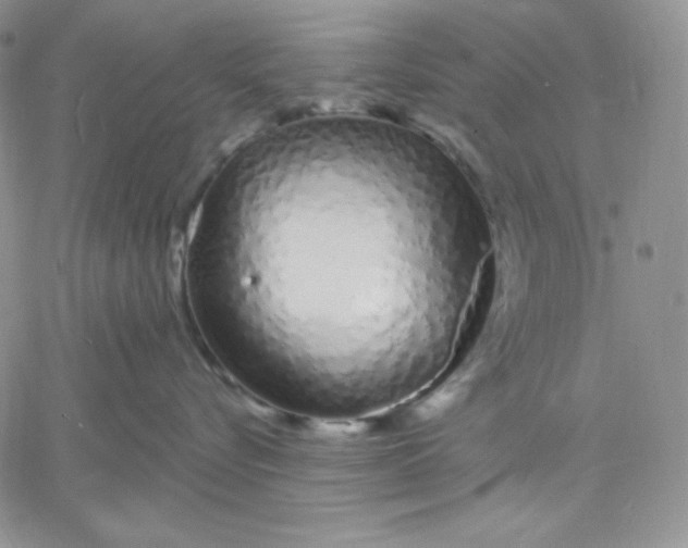 X0000060580576200511241344