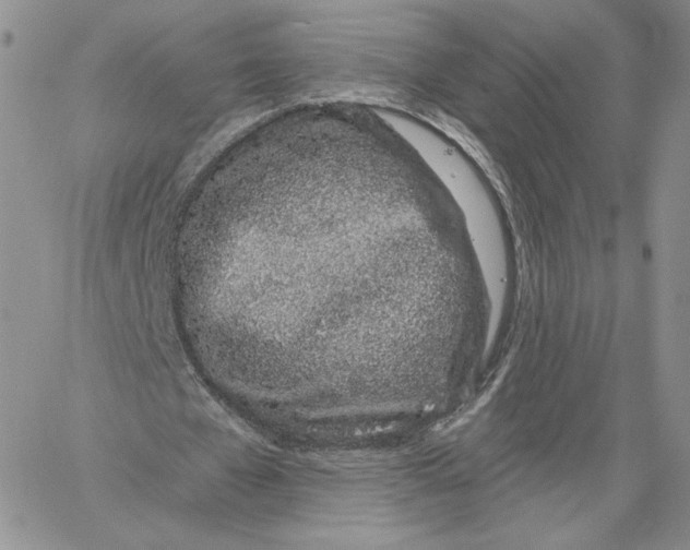 X0000060580577200511241343