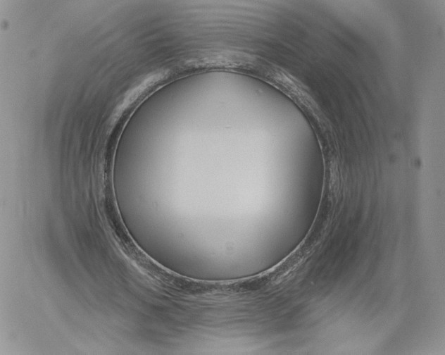 X0000060580578200511241343