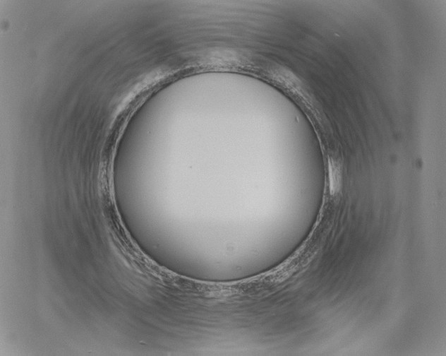 X0000060580579200511241343