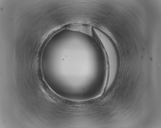 X0000060580580200511241343