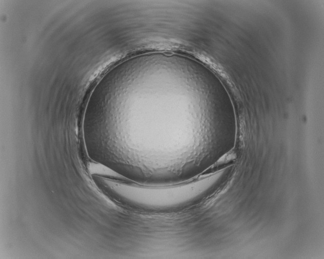 X0000060580581200511241343