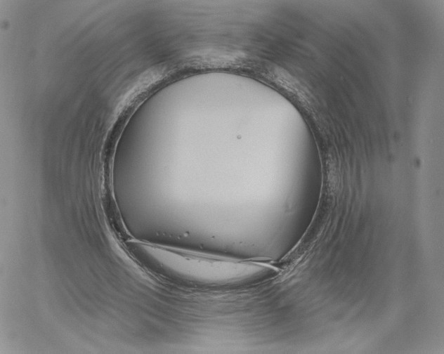 X0000060580582200511241343