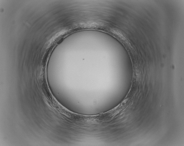 X0000060580583200511241343