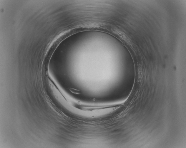 X0000060580584200511241343