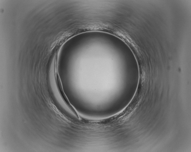 X0000060580585200511241343