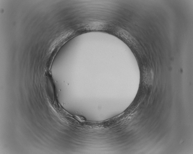 X0000060580586200511241343