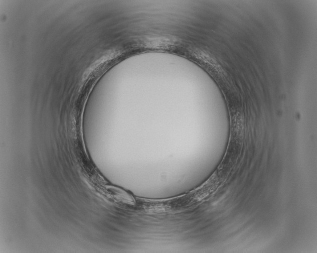 X0000060580587200511241343