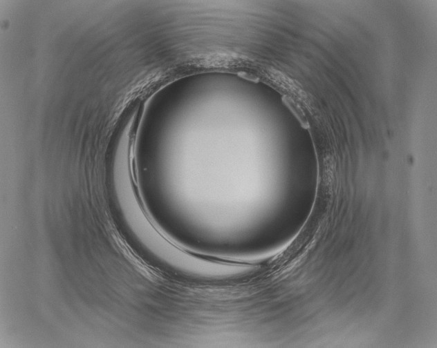 X0000060580589200511241343