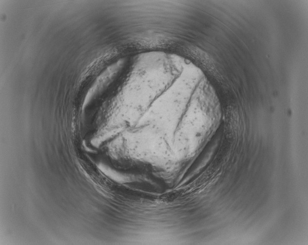 X0000060580590200511241343