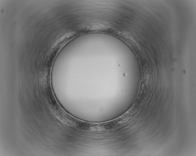 X0000060580591200511241343