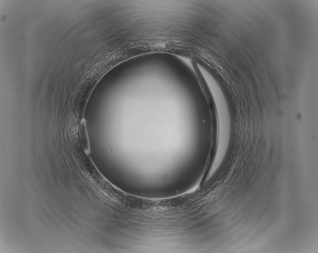 X0000060580593200511241343