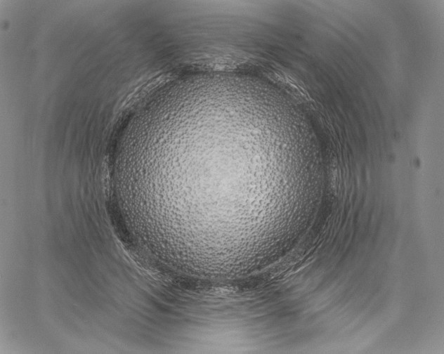 X0000060580594200511241343