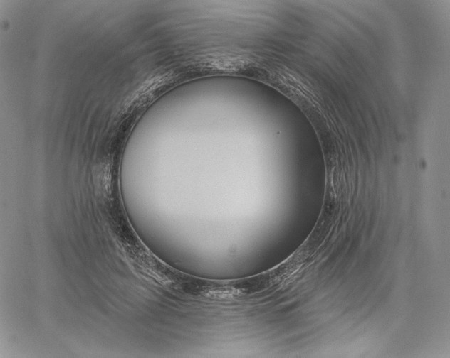 X0000060580595200511241343