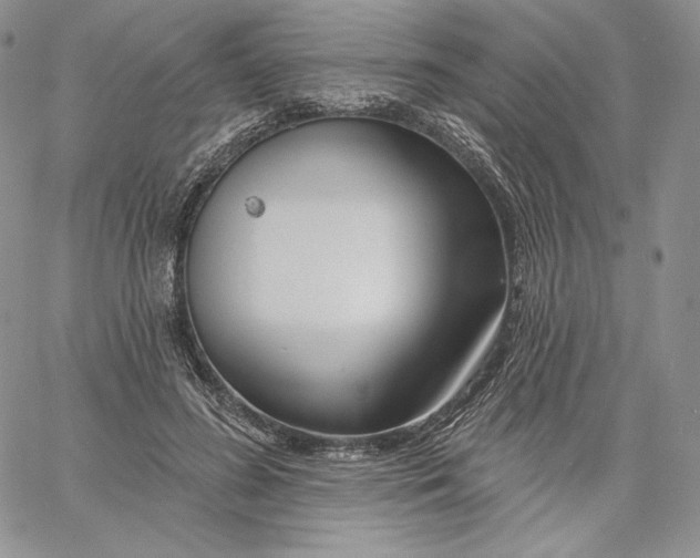 X0000060580596200511241343