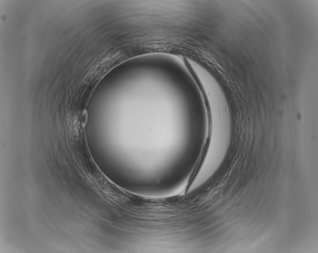 X0000060580597200511241343