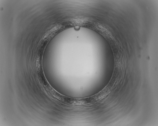 X0000060580599200511241343