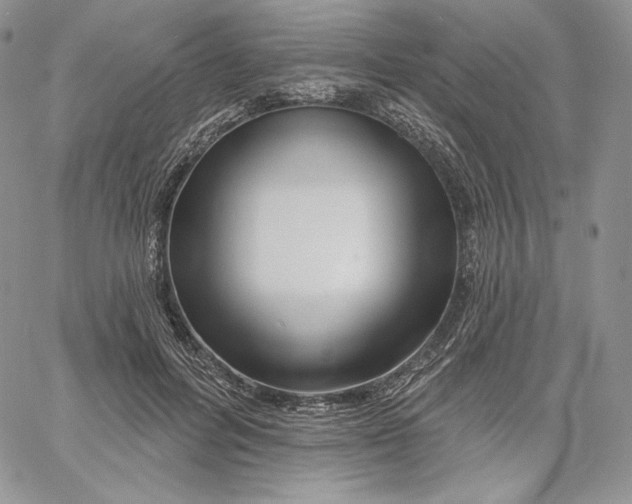 X0000060580600200511241343