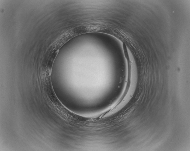 X0000060580601200511241343