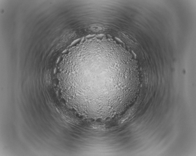 X0000060580606200511241343