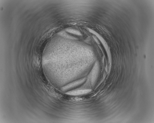 X0000060580607200511241343