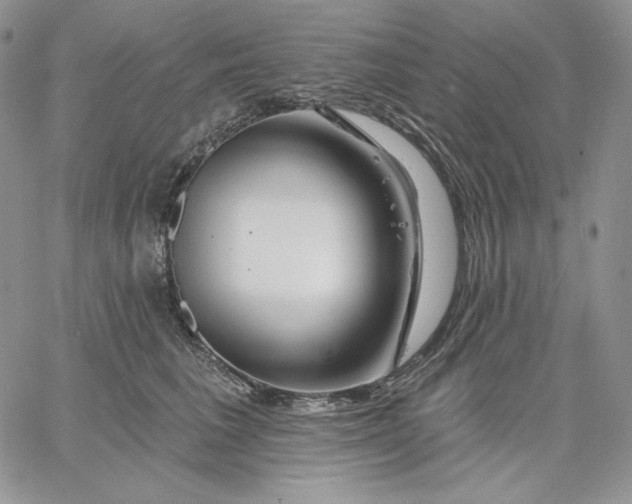 X0000060580613200511241343