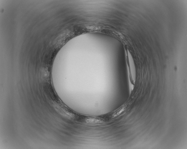 X0000060580614200511241343