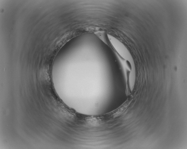 X0000060580616200511241343