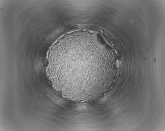 X0000060580618200511241343