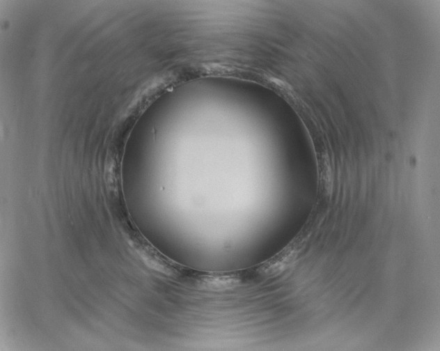 X0000060580619200511241343