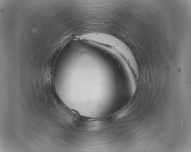 X0000060580620200511241343