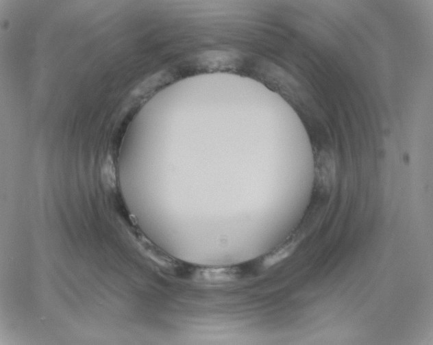 X0000060580622200511241343