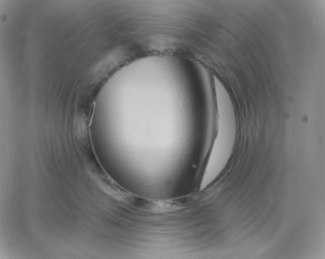 X0000060580623200511241343