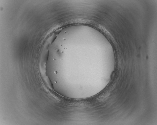 X0000060580625200511241342