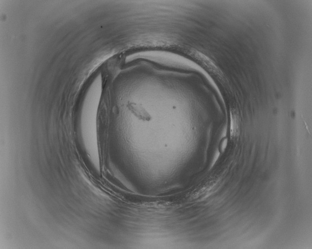 X0000060580627200511241342