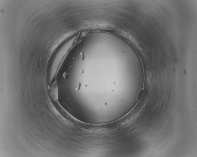 X0000060580629200511241342