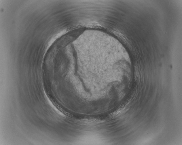 X0000060580630200511241342