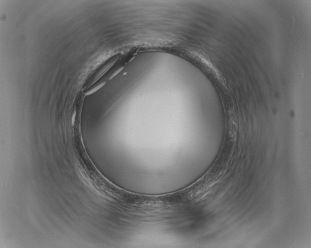 X0000060580631200511241342