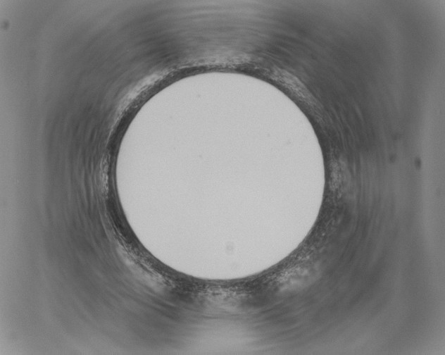 X0000060580632200511241342