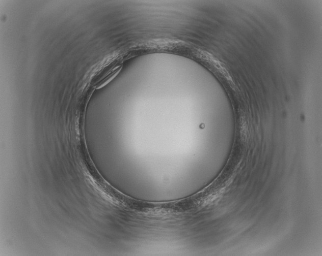 X0000060580633200511241342