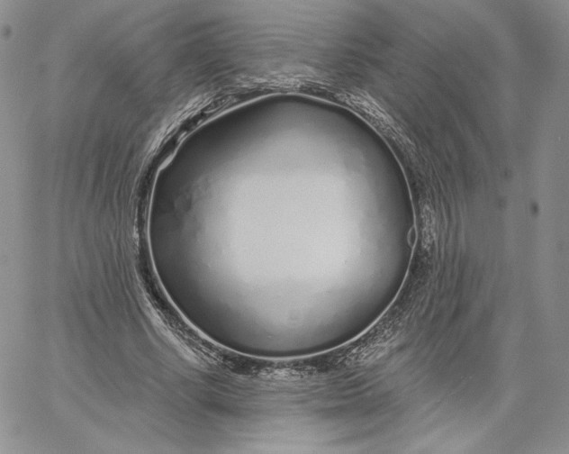 X0000060580634200511241342