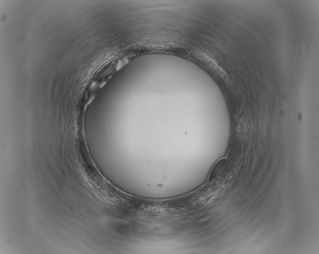 X0000060580635200511241342