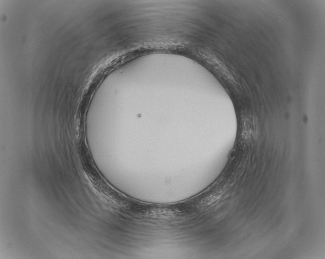 X0000060580636200511241342